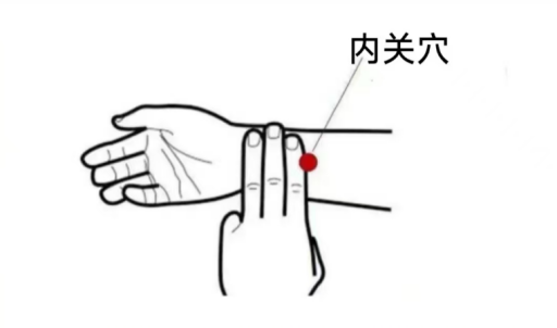 微信圖片_20250219111113.png