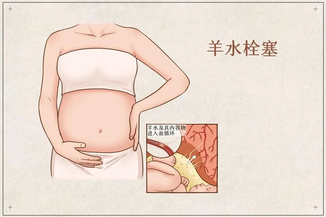 yanghsuiquansai.jpg